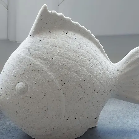 Vakantiehuis Aux Pierres D'opale, Maison 3 Ch, 4 A 6 Pers Boulogne-sur-Mer