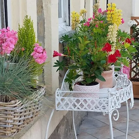 Aux Pierres D'opale, Maison 3 Ch, 4 A 6 Pers Ferienhaus